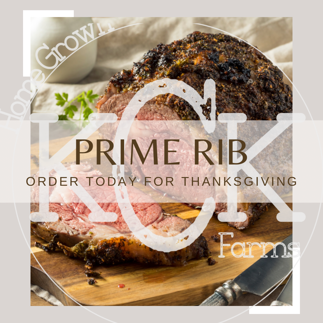 Prime Rib
